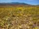 imgp3338_small.jpg