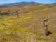 imgp3341_small.jpg