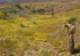 imgp3342_small.jpg