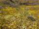 imgp3343_small.jpg