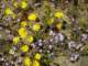imgp3344_small.jpg
