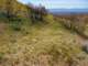imgp3345_small.jpg