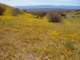imgp3346_small.jpg