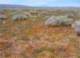 imgp3347_small.jpg