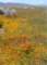imgp3349_small.jpg