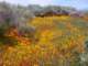 imgp3350_small.jpg