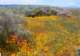 imgp3351_small.jpg