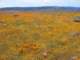 imgp3352_small.jpg