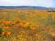 imgp3354_small.jpg