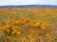 imgp3355_small.jpg