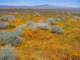 imgp3356_small.jpg