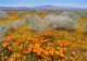 imgp3357_small.jpg