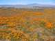 imgp3358_small.jpg