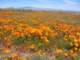 imgp3360_small.jpg