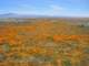 imgp3363_small.jpg