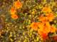 imgp3365_small.jpg
