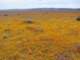 imgp3366_small.jpg