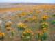 imgp3368_small.jpg