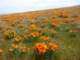 imgp3369_small.jpg