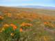 imgp3370_small.jpg
