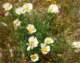 imgp3372_small.jpg