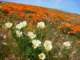 imgp3376_small.jpg