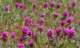 imgp3377_small.jpg