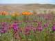 imgp3378_small.jpg