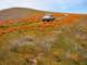 imgp3380_small.jpg