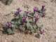 imgp3382_small.jpg