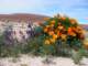 imgp3384_small.jpg