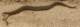 imgp3392_small.jpg
