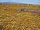 imgp3400_small.jpg