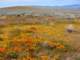 imgp3401_small.jpg