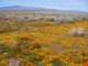 imgp3402_small.jpg