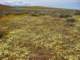imgp3405_small.jpg