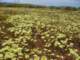 imgp3407_small.jpg