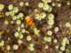 imgp3408_small.jpg