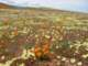 imgp3414_small.jpg