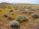 imgp3415_small.jpg