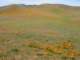 imgp3424_small.jpg