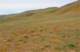 imgp3425_small.jpg
