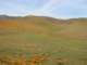 imgp3427_small.jpg