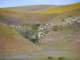 imgp3428_small.jpg
