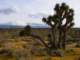 imgp3435_small.jpg