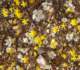 imgp3436_small.jpg