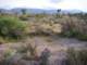 imgp3439_small.jpg