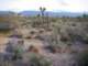 imgp3441_small.jpg
