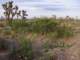imgp3442_small.jpg