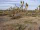 imgp3443_small.jpg